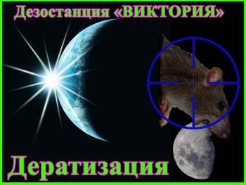 Дезостанция «ВИКТОРИЯ» предоставляет услуги по дератизации, уничтожению крыс,машей в Алматы.