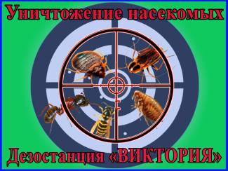 Дезинсекция - уничтожение насекомых в Алматы